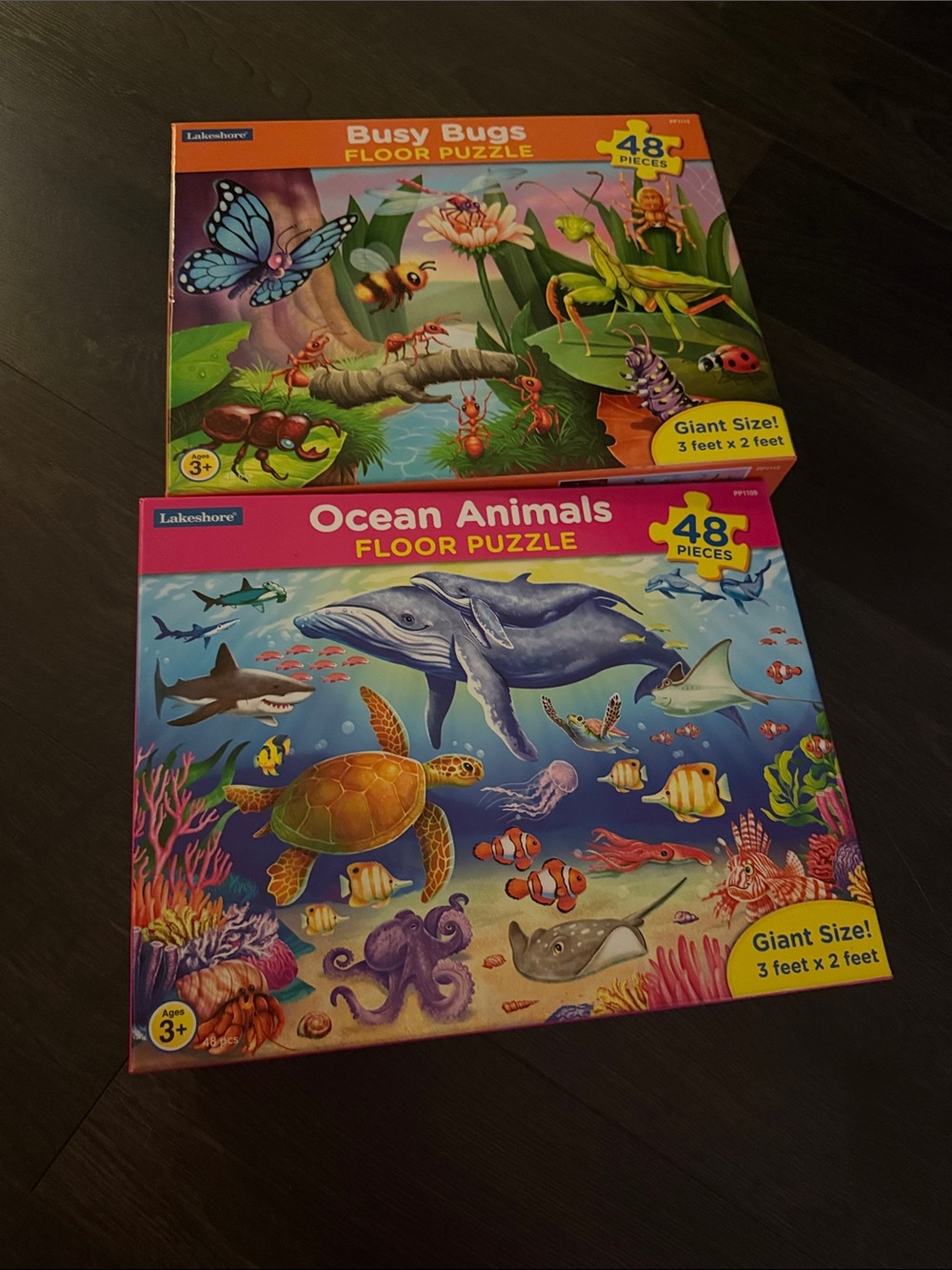 Lakeshore learning puzzle